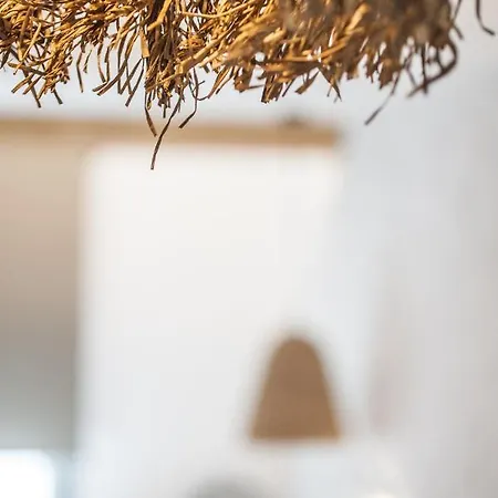 Bohemia Luxury Living 2* ハニオティス